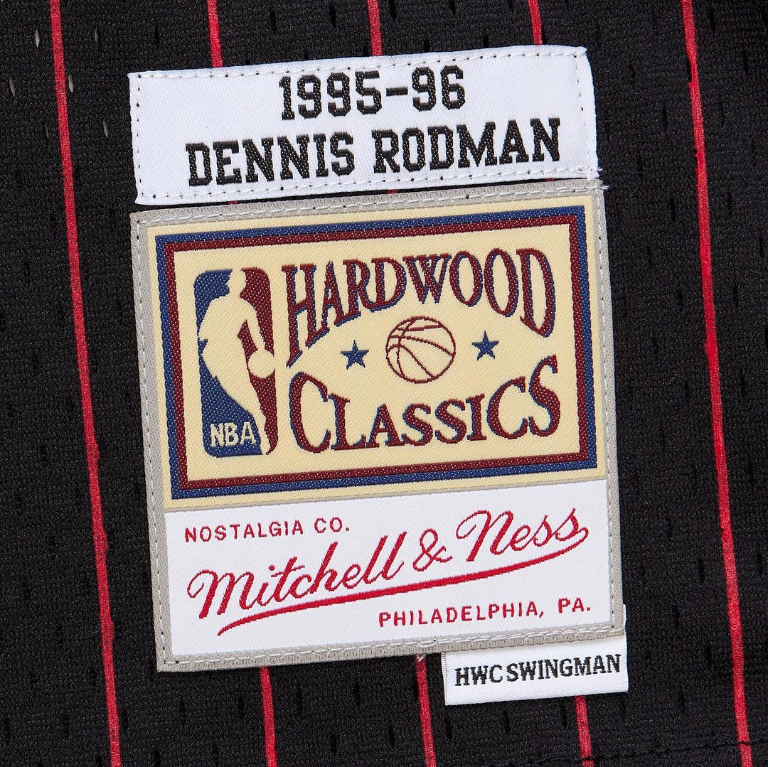 Dennis Rodman Chicago Bulls Youth 1995/96 Swingman Jersey - Black Official NBA Team Apparel Basketball Fan Gear