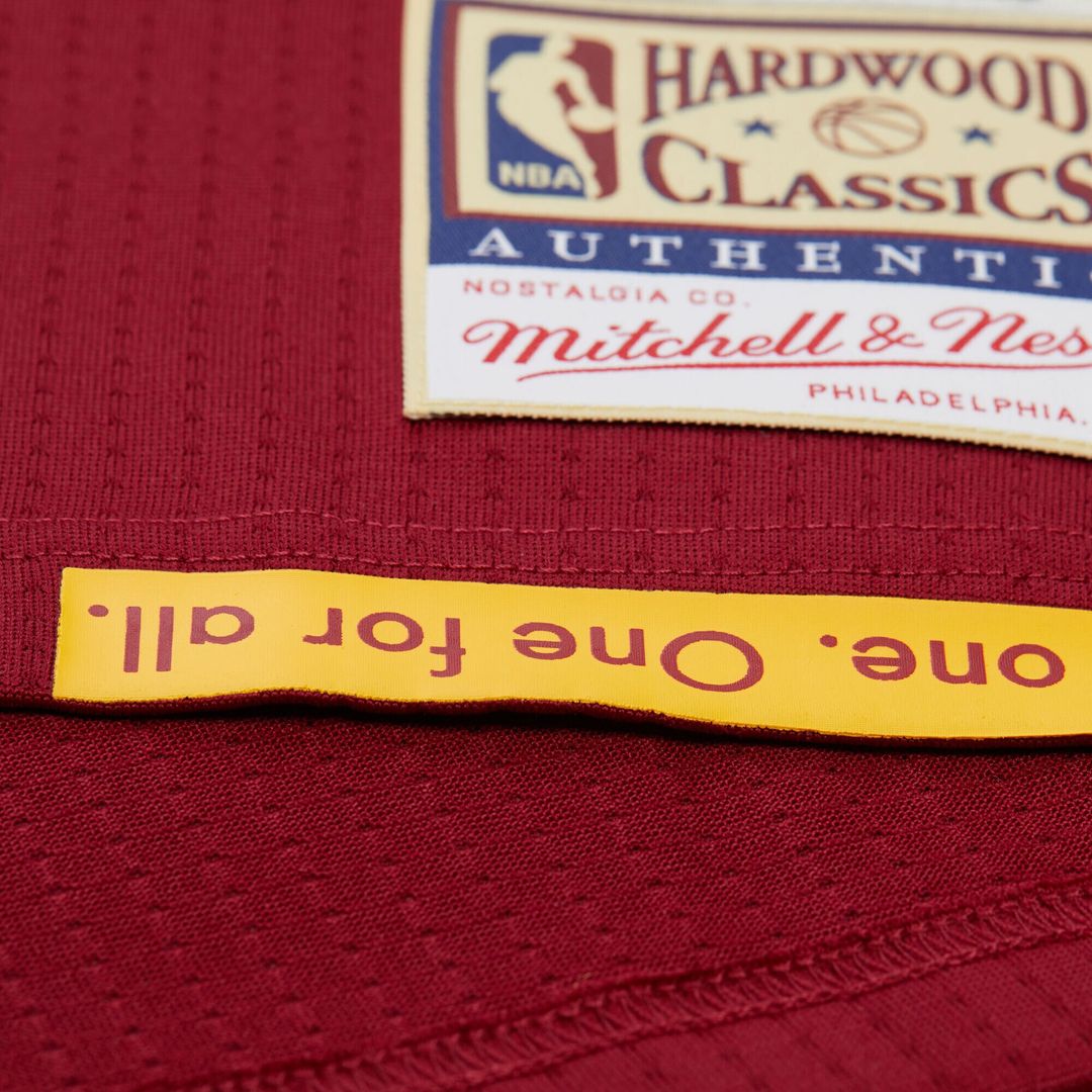 LeBron James Cleveland Cavaliers Mitchell & Ness Hardwood Classics 2015/16 Authentic Jersey - Wine Official NBA Team Apparel Basketball Fan Gear