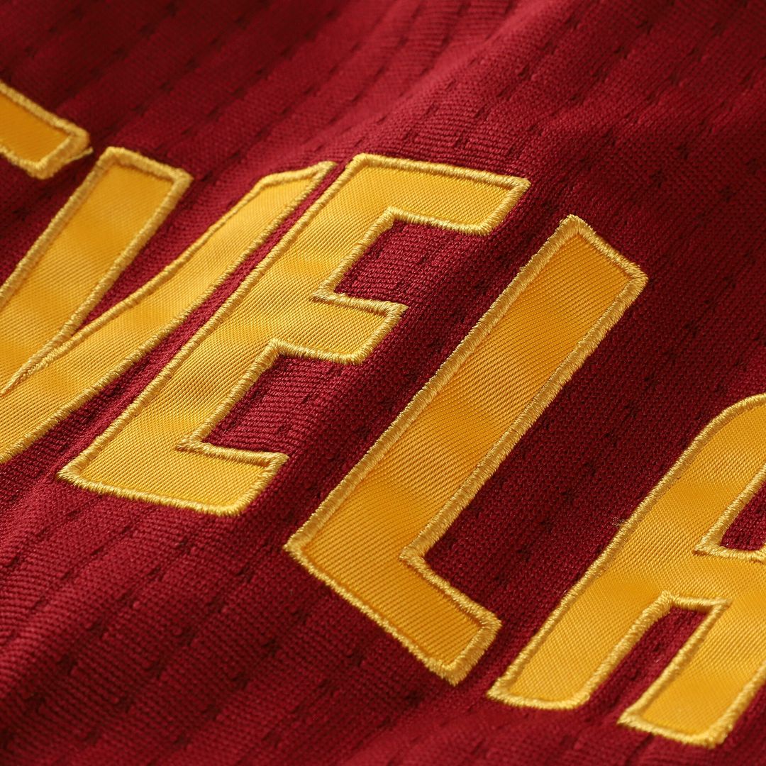 LeBron James Cleveland Cavaliers Mitchell & Ness Hardwood Classics 2015/16 Authentic Jersey - Wine Official NBA Team Apparel Basketball Fan Gear