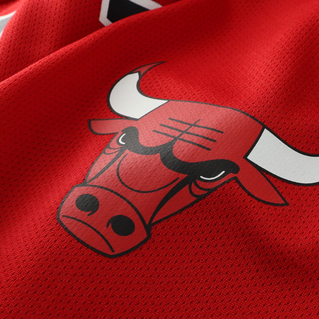 Dennis Rodman Chicago Bulls Mitchell & Ness Big & Tall NBA Hockey Jersey - Red Official NBA Team Apparel Basketball Fan Gear