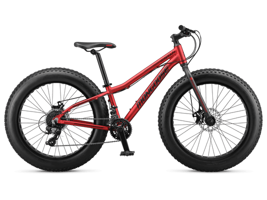 Argus Trail 24in
