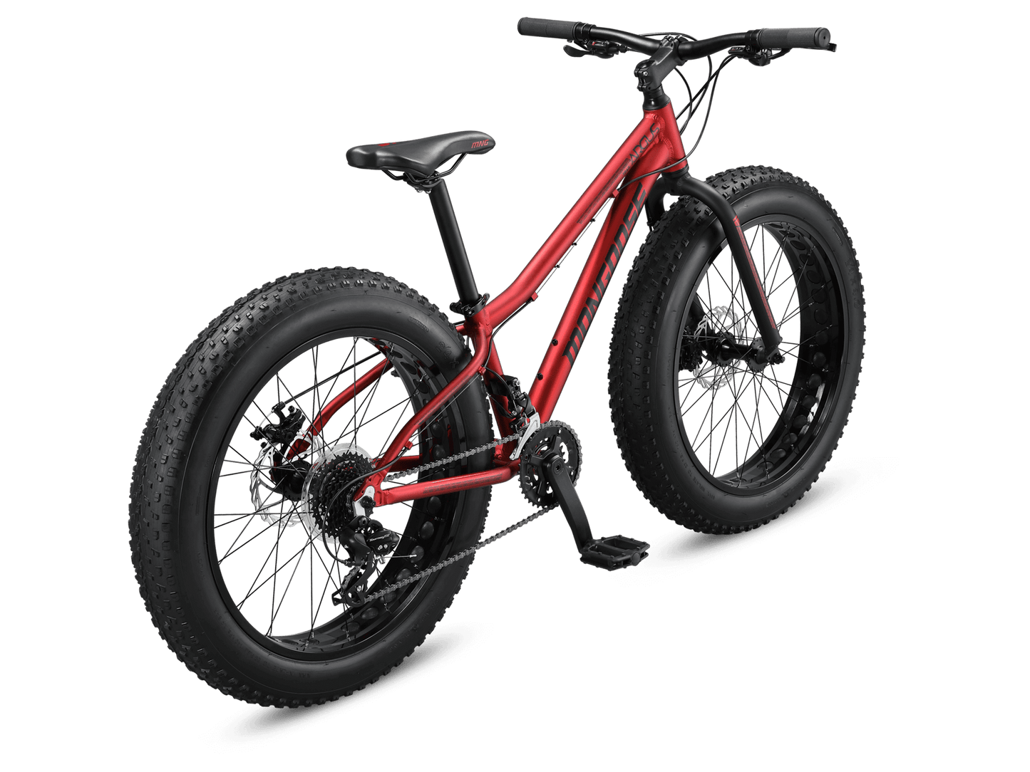 Argus Trail 24in