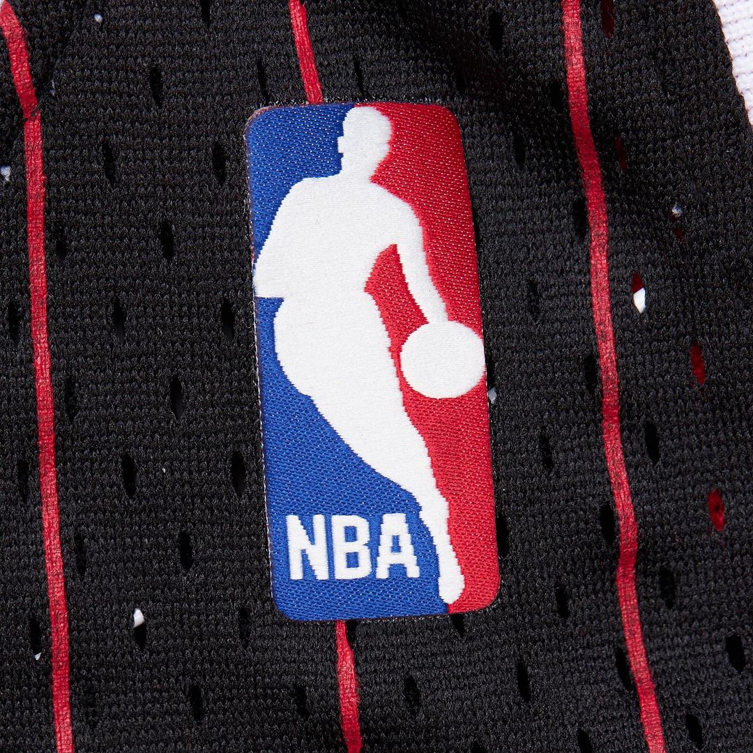 Dennis Rodman Chicago Bulls Youth 1995/96 Swingman Jersey - Black Official NBA Team Apparel Basketball Fan Gear